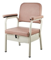 Deluxe Bedside Commode